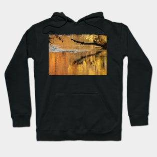 Golden Autumn Reflection in the Water Hoodie